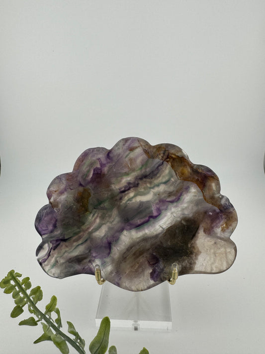 Muschelschale aus Fluorit | 13 x 10 cm | 343 g | 3D-Form mit lebendigen Farben