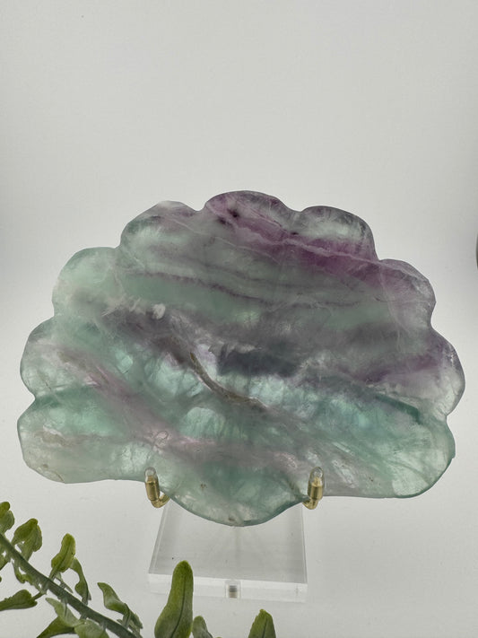 Muschelschale aus Fluorit | 13 x 10 cm | 328 g | 3D-Form mit lebendigen Farben