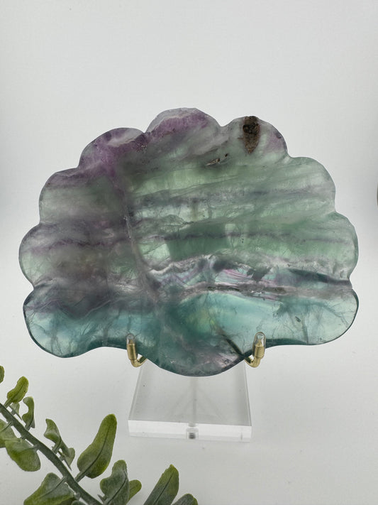 Muschelschale aus Fluorit | 13 x 10 cm | 300 g | 3D-Form mit faszinierenden Farben